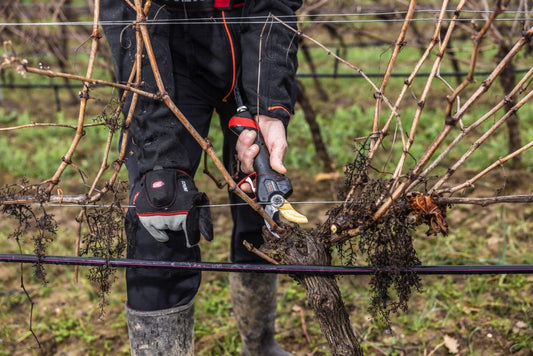 Infaco Standard Trådlöst DSES Kit